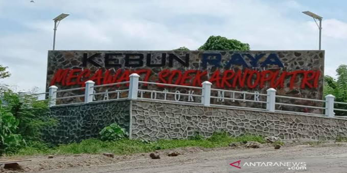 Kebun Raya Megawati Soekarnoputri di Ratatotok, Minahasa Tenggara. (Antara)