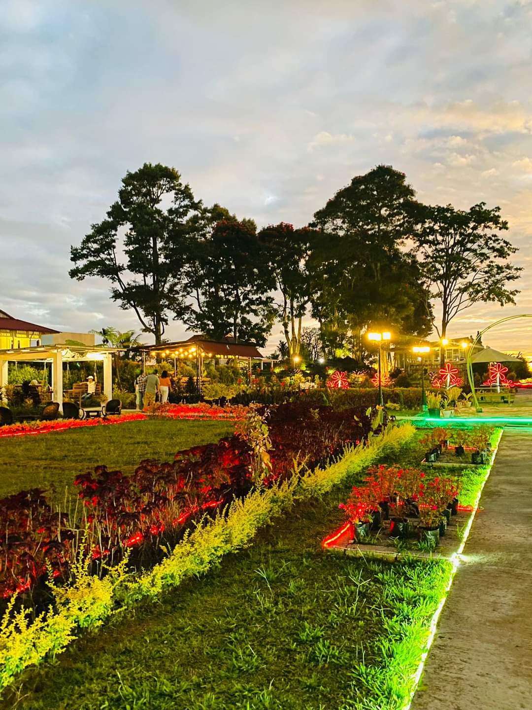 Marion Farm Cafe and Villa Tomohon