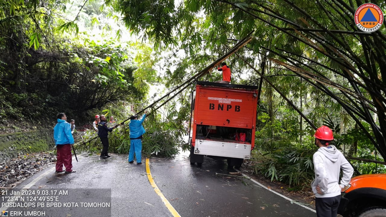 HATI-HATI: Penanganan pohon tumbang di ruas jalan Manado-Tomohon. Dok BPBD Kota Tomohon