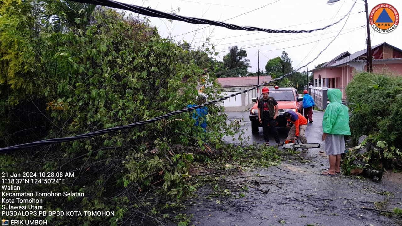 Pohon tumbang di Kelurahan Walian Kecamatan Tomohon Selatan. Dok BPBD Kota Tomohon
