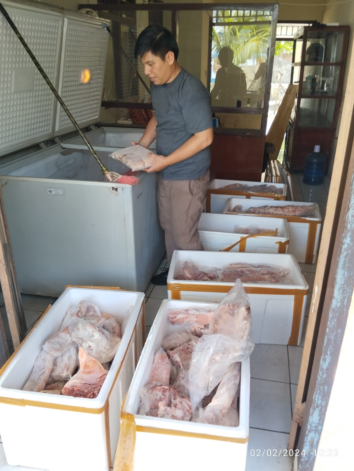 Sebanyak 250 Kg daging babi ilegal yang gagal diseledupkan.