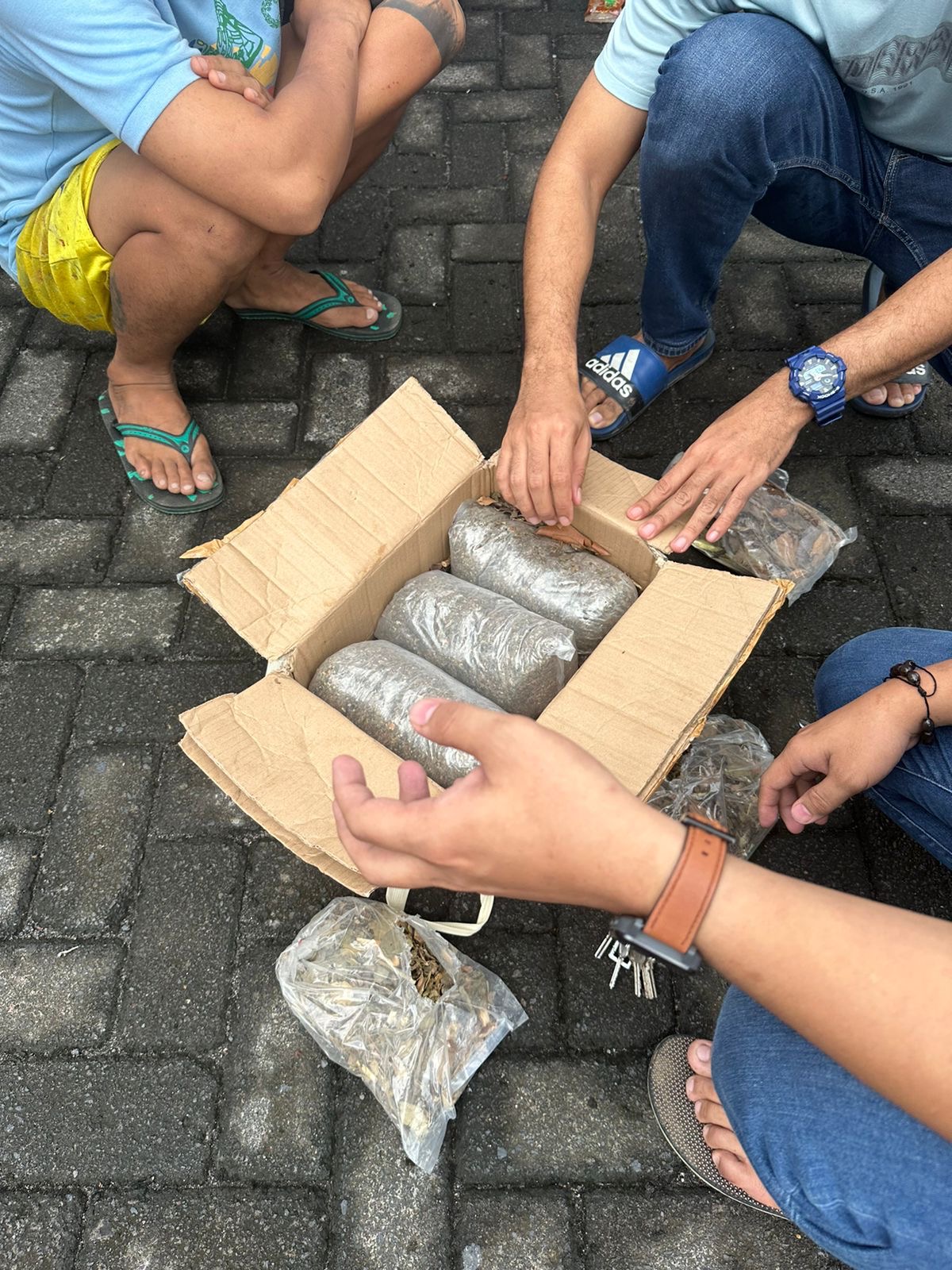 Barang bukti ganja seberat 3 Kg yang diamankan Tim Resmob Polda Sulut saat memback-up Tim Ditresnarkoba Polda Sulsel
