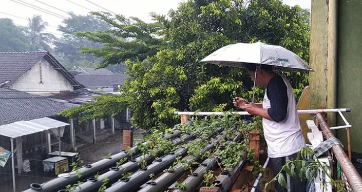 Ilustrasi Kebun Organik. (SEPTINA FADYA/RADAR SOLO)