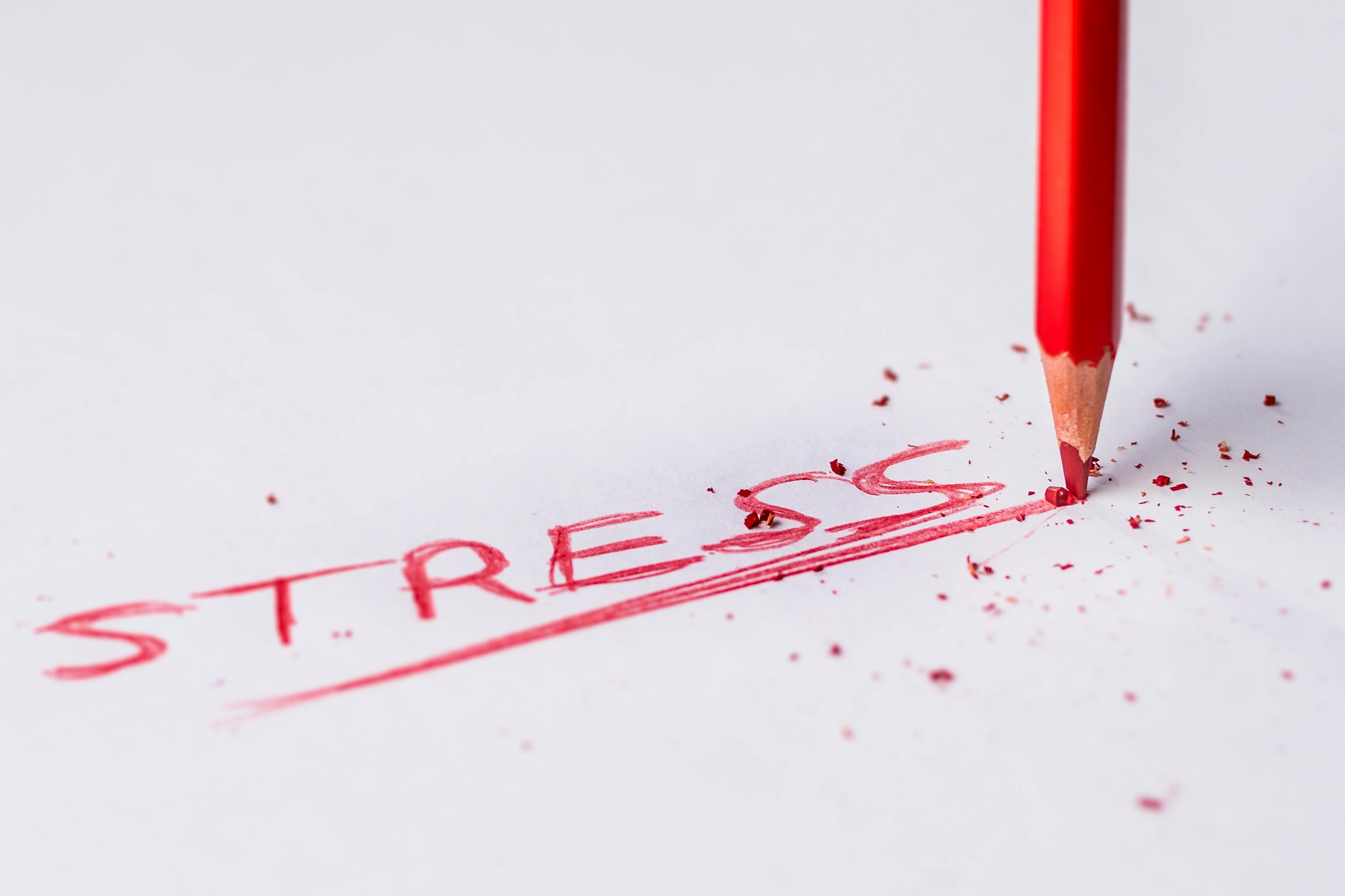 Stress Mempengaruhi Kesehatan reproduksi (pexels.com)