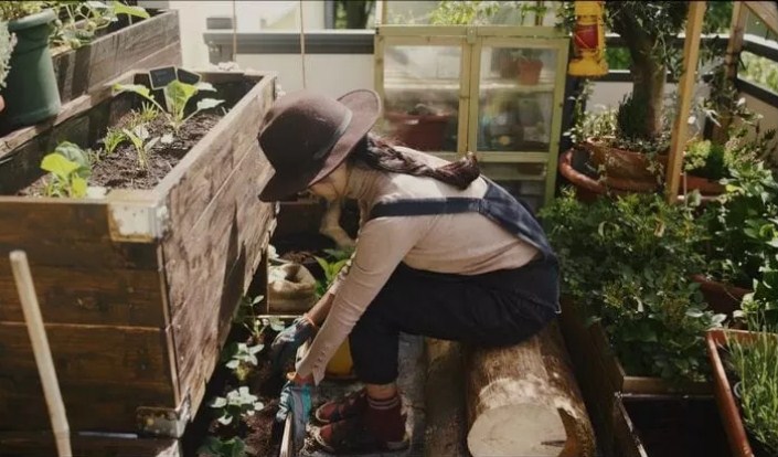 Ilustrasi Berkebun. (/Schmarlotte Schmilman/Pinterest)