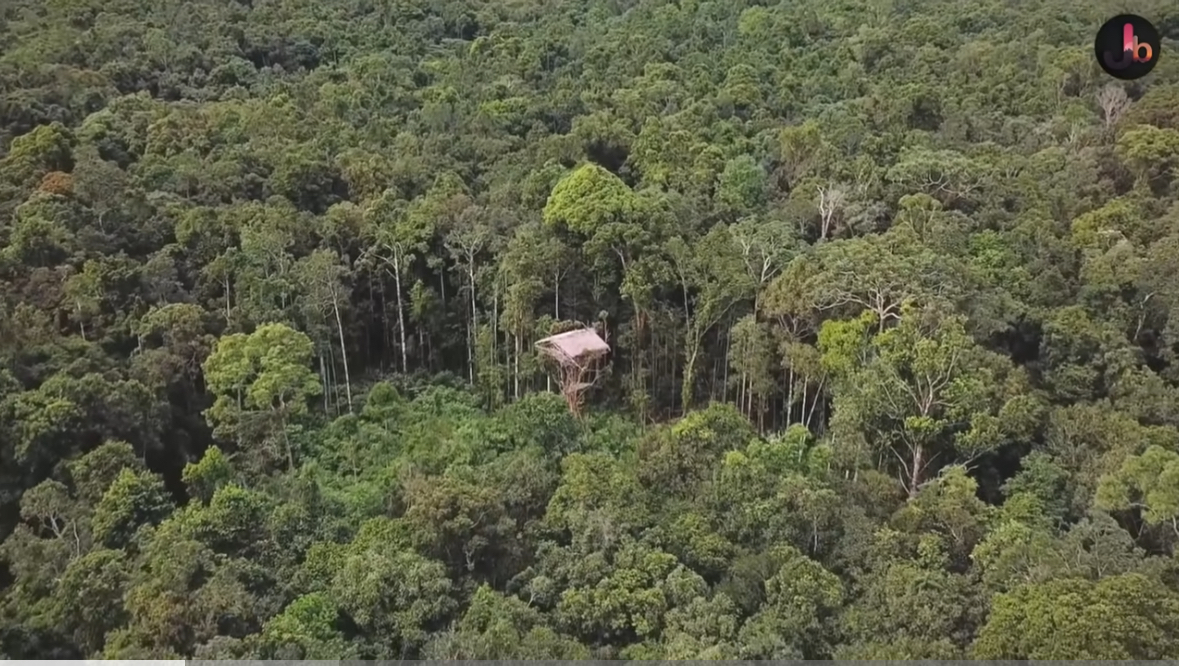 Suku korowai