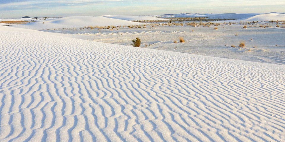 White Sands National Park. (nps.gov)