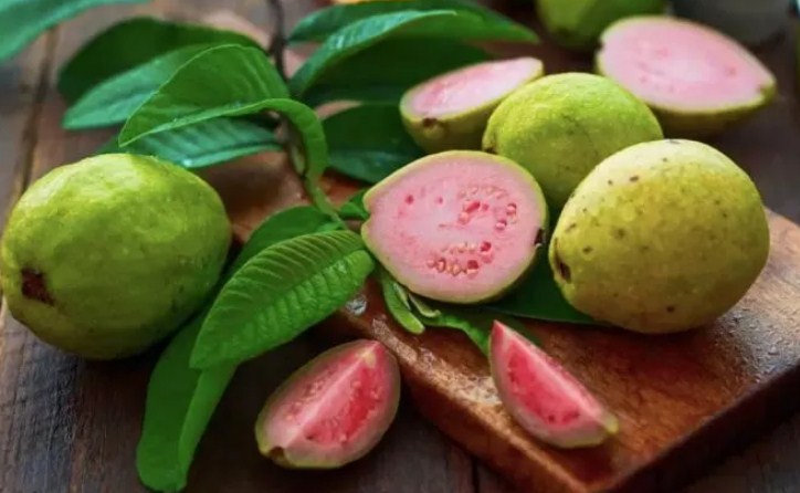 Ilustrasi jambu. (Freepik)