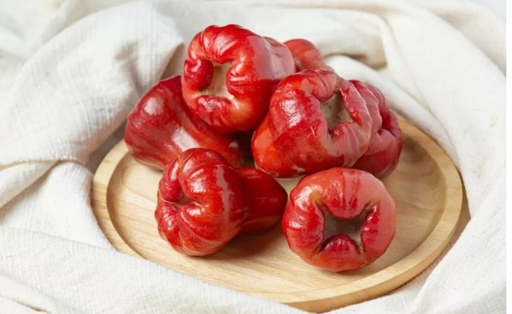 Ilustrasi Jambu Air. (Freepik)