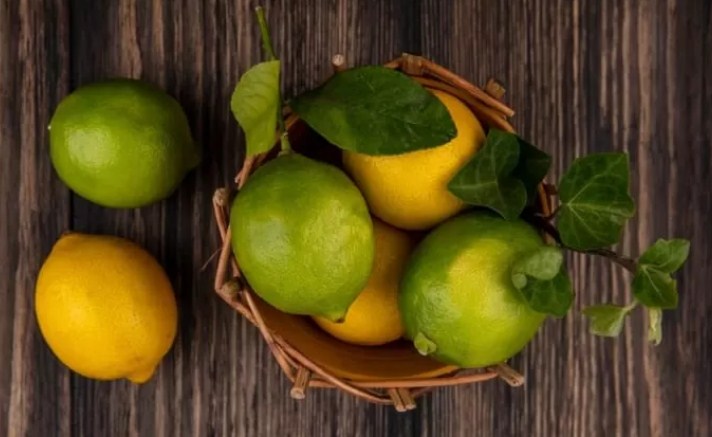 Ilustrasi jeruk. (freepik/stocking)