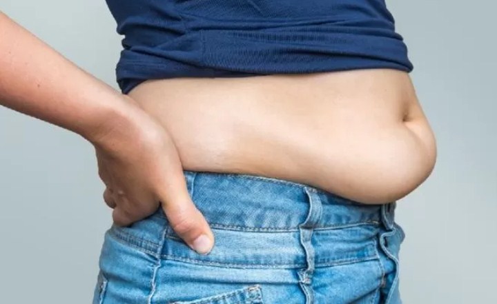 Ilustrasi Lemak Perut.
