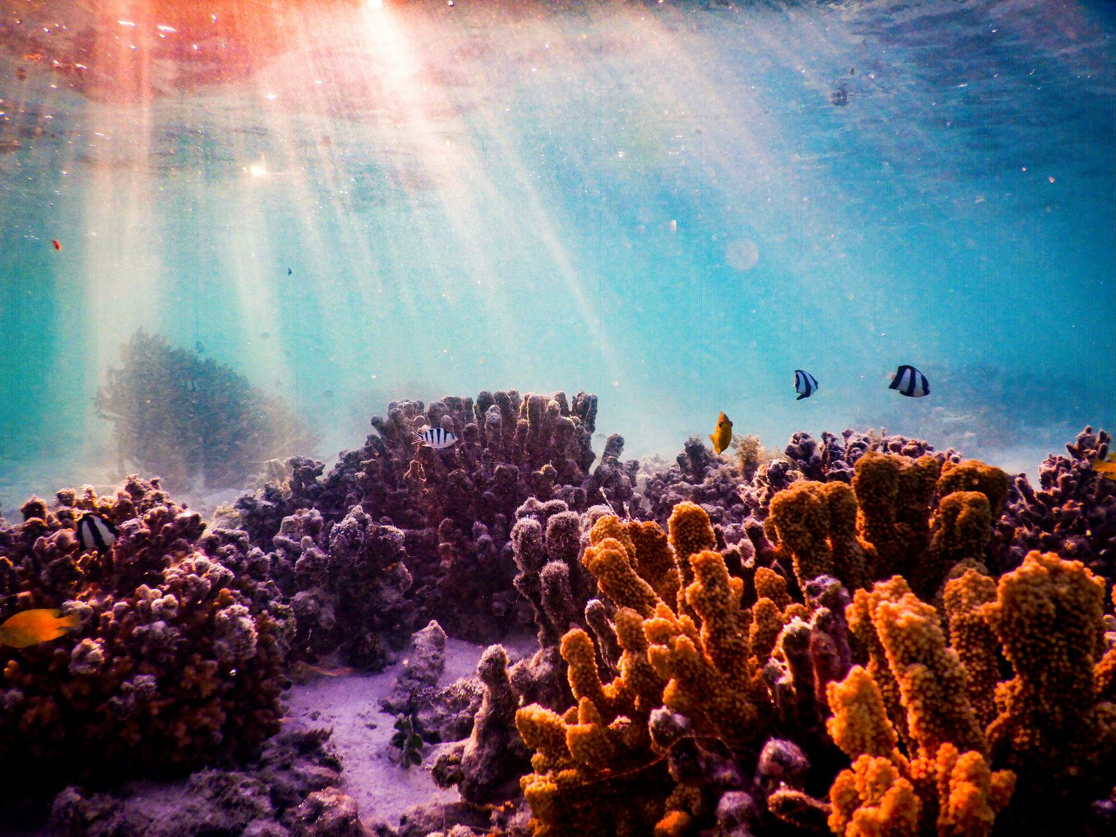 Foto oleh Elliot Connor: https://www.pexels.com/id-id/foto/laut-alam-samudra-lautan-7082811/