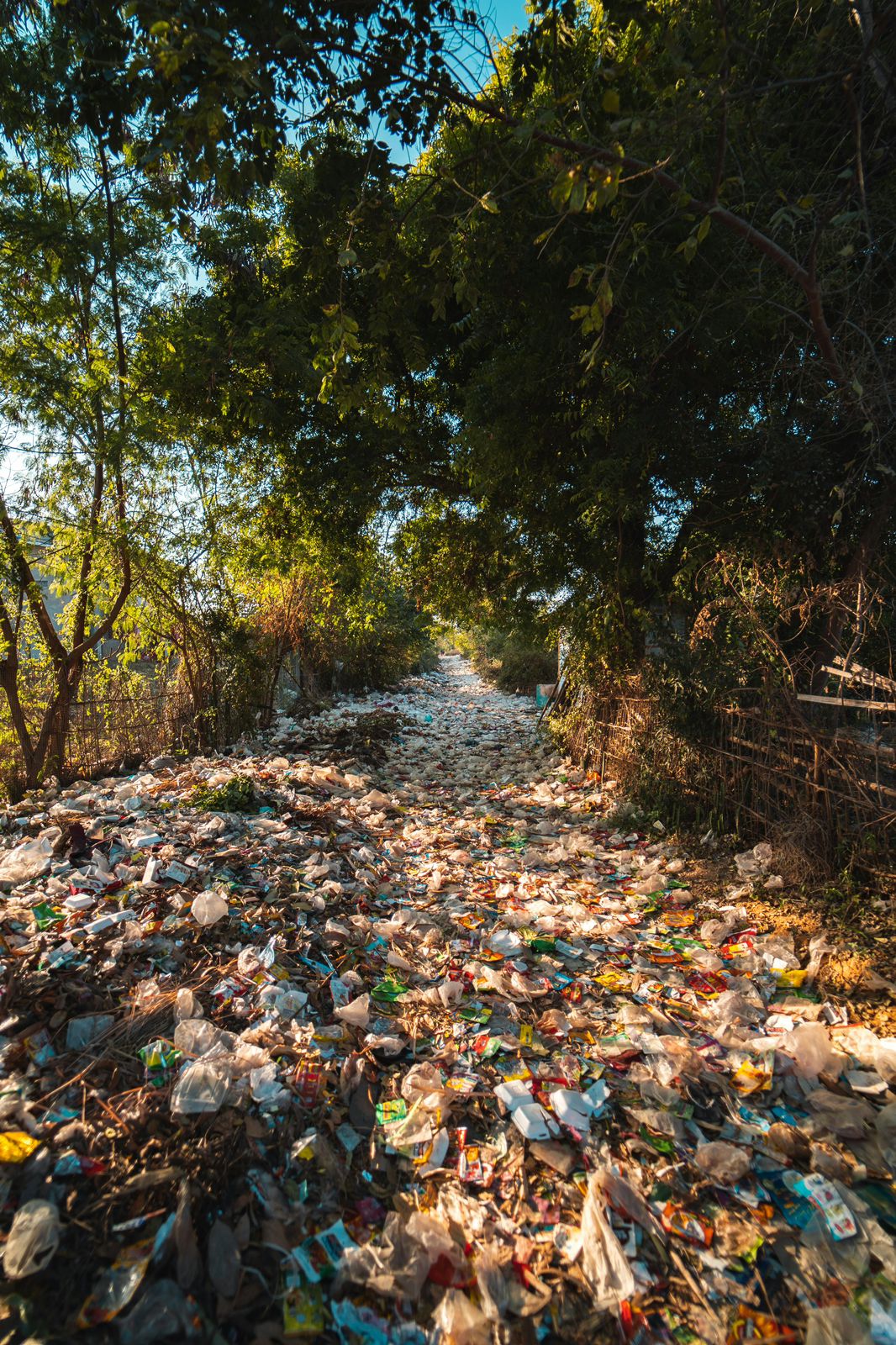 Foto oleh Stijn Dijkstra: https://www.pexels.com/id-id/foto/foto-plastik-dekat-pohon-2583836/