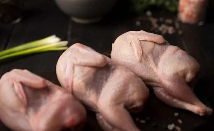 Ilustrasi Ayam. (Freepik)