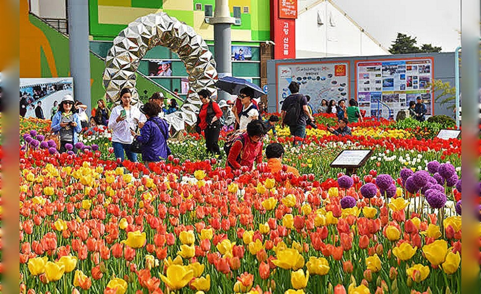 Pameran Goyang International Flower Festival (GIFF) di Korea Selatan