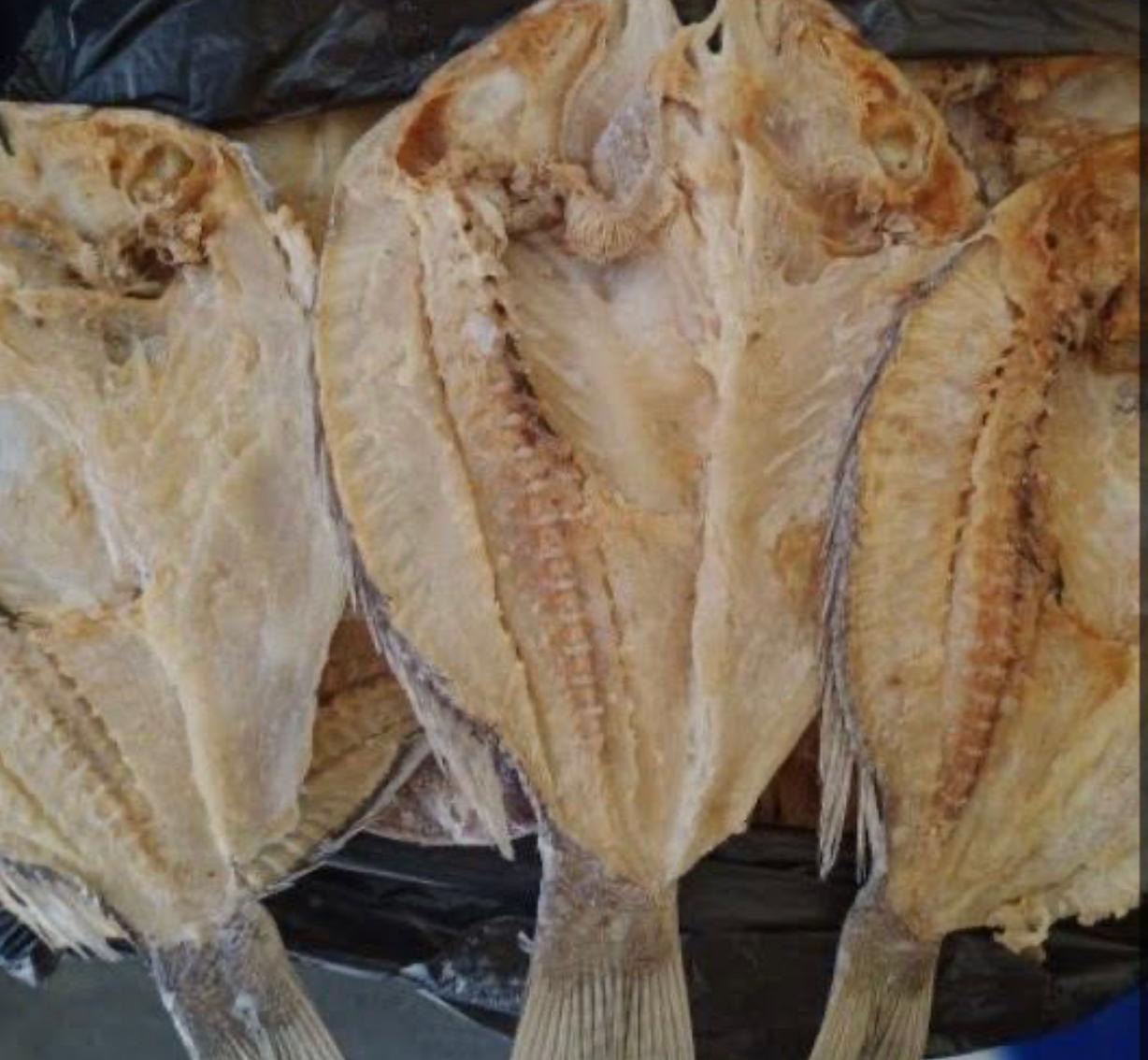 Ilustrasi ikan asin
