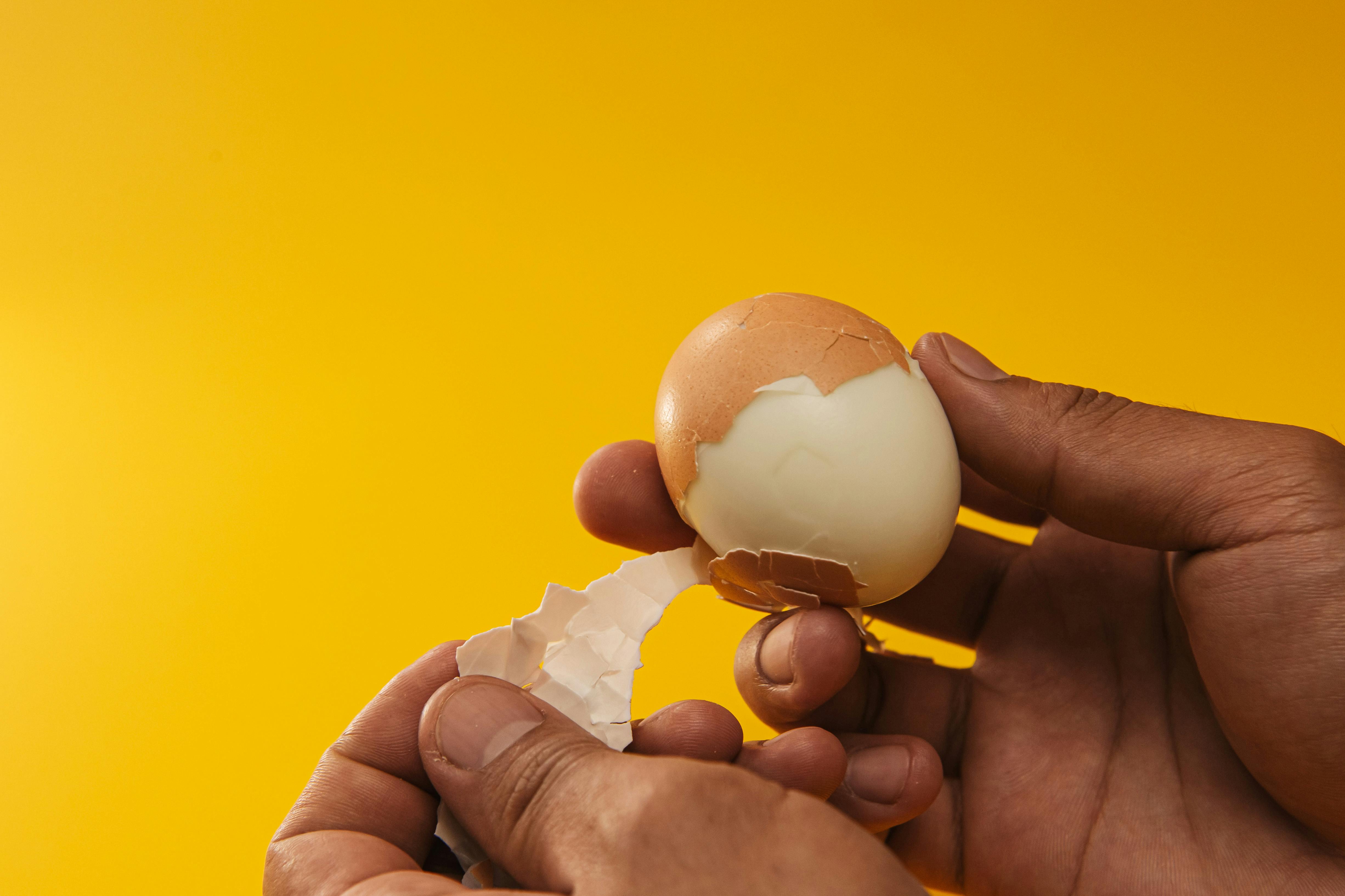 Telur Rebus