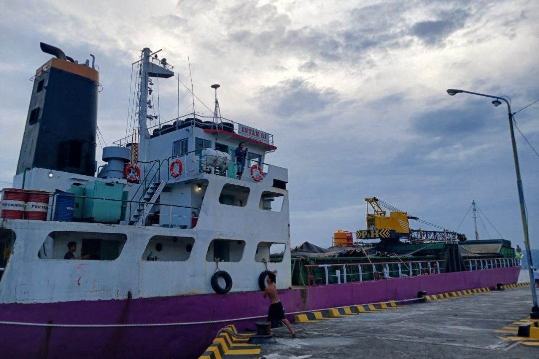 Kapal pengakut 900 ekor babi sudah tiba di Pelabuhan Amurang , Selasa (15/10) pagi ini
