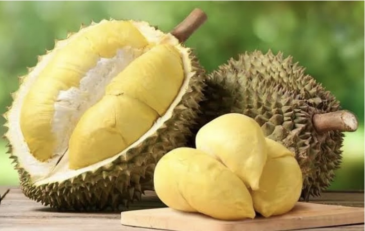 Ilustrasi Durian