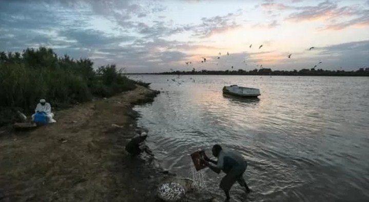 Ilustrasi Sungai Nil. (JPG/AFP)