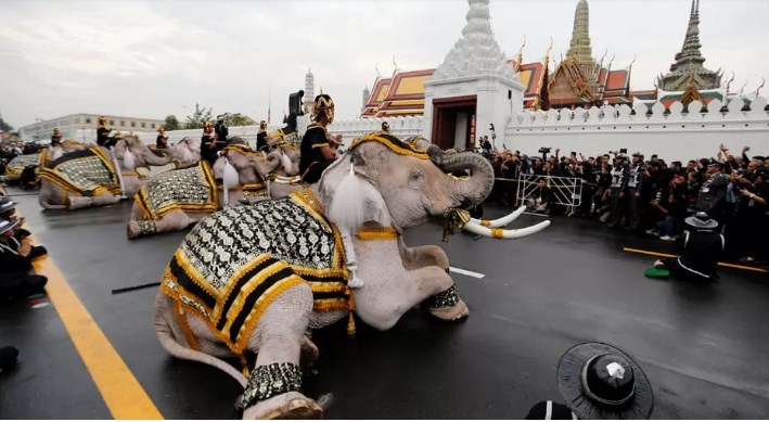 Ilustrasi Gajah Putih. (Istimewa/JPG)