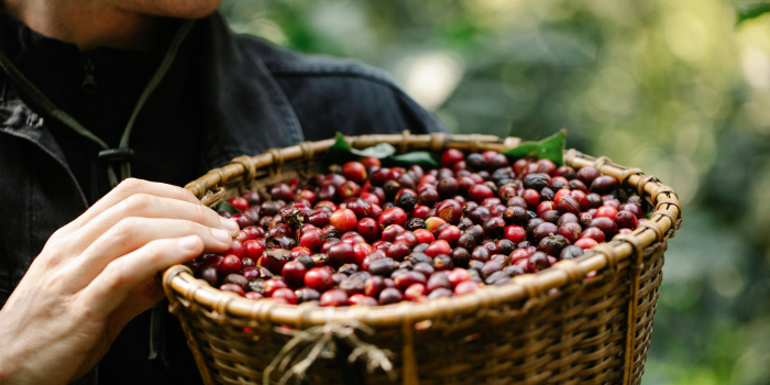 Ilustrasi
