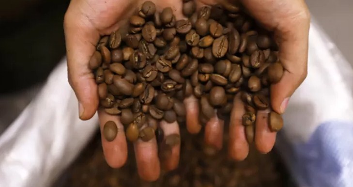 Ilustrasi kopi. (Dery Ridwansah/ JawaPos.com)