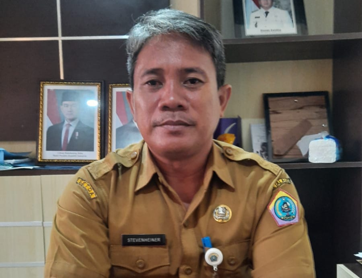 Stevenheiner Maarisit