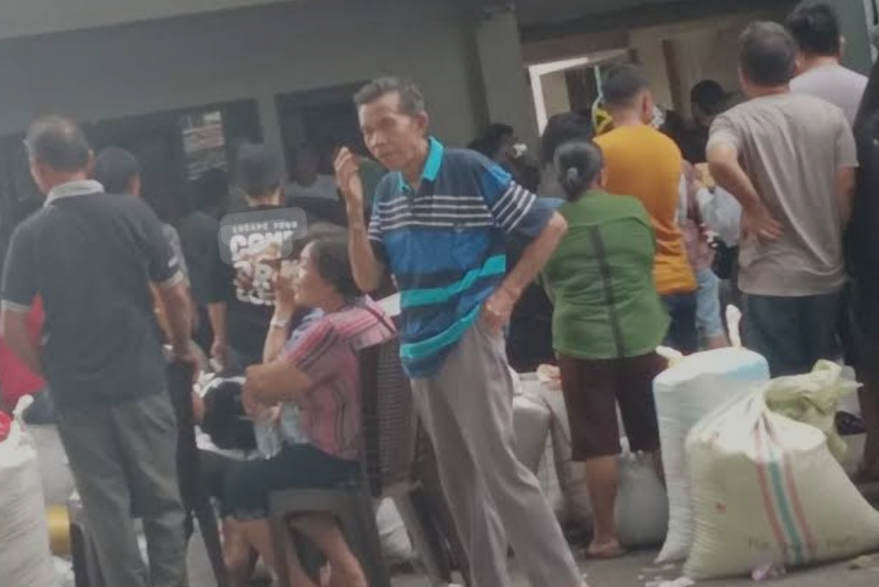 Petani cengkih di Manado yang telah menjual cengkih mereka sejak Desember 2024