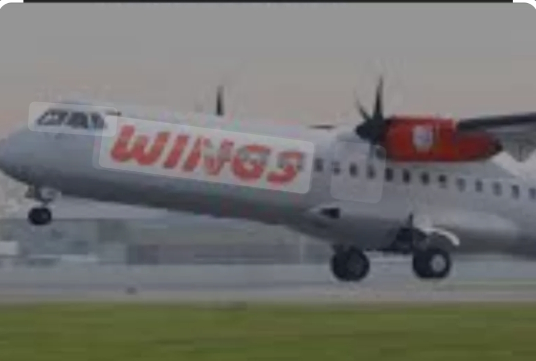 Wings Air
