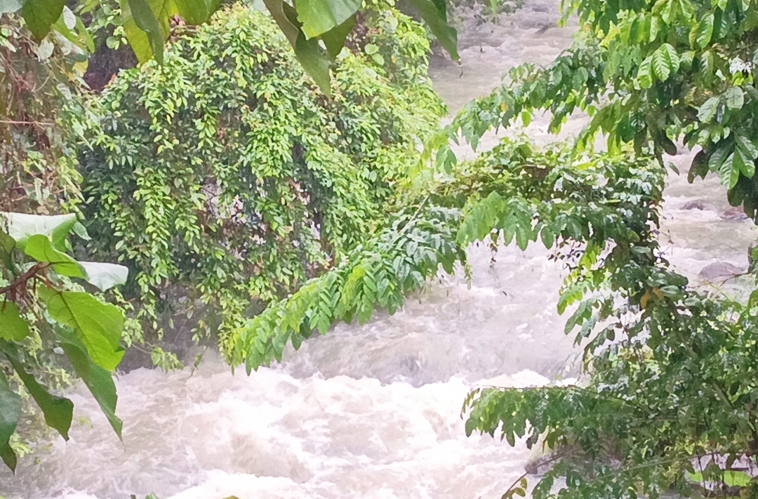 Air di Hulu Sungai Tikala Mulai Turun dan Jernih, Tandanya Volume Air Mulai Turun Kendati Hujan Masih Menggujur