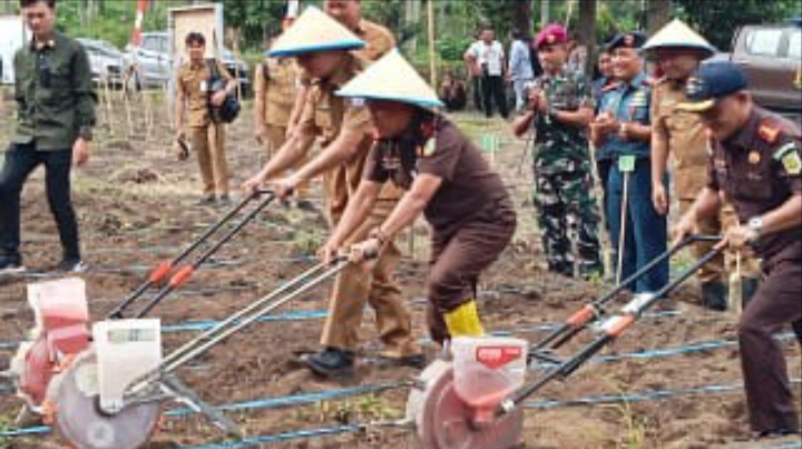 Kajati Sulut Andi Muhammad Taufik, diapit Kajari Bitung Yadyn dan Wali Kota Bitung Hengky Honandar, saat menanam jagung di Kudapan Adhyaksa.(Dok Istimewa)