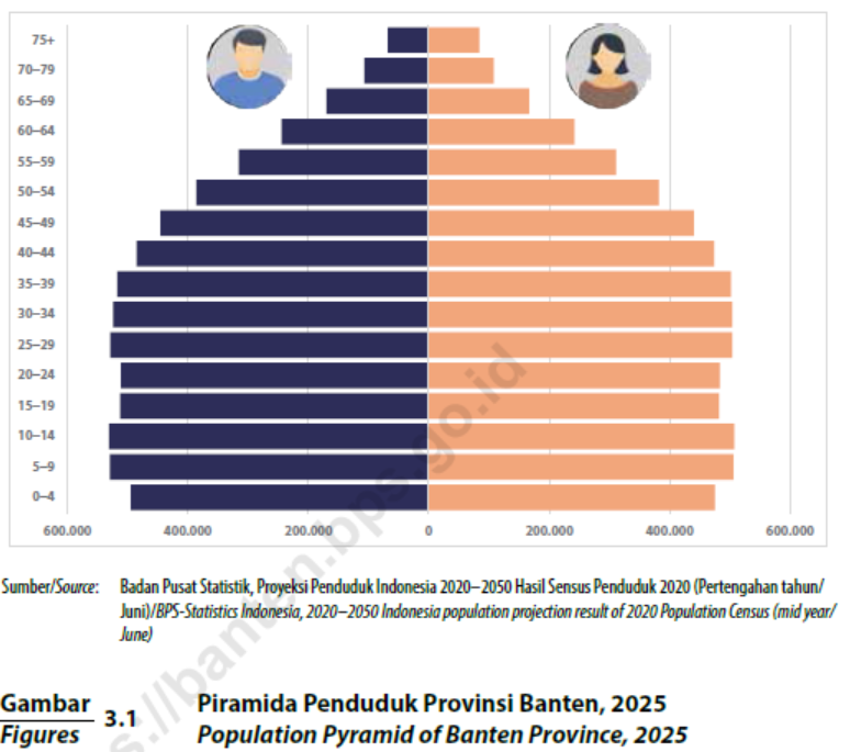 Gambar Piramida Penduduk Provinsi Banten, 2025