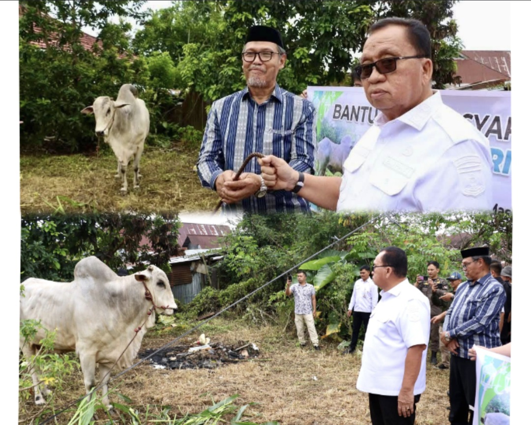 SERAHKAN: Bupati Robby Dondokambey saat menyerahkan bantuan kurban dari Presiden Prabowo, di Langowan, Rabu (4/6/2025).