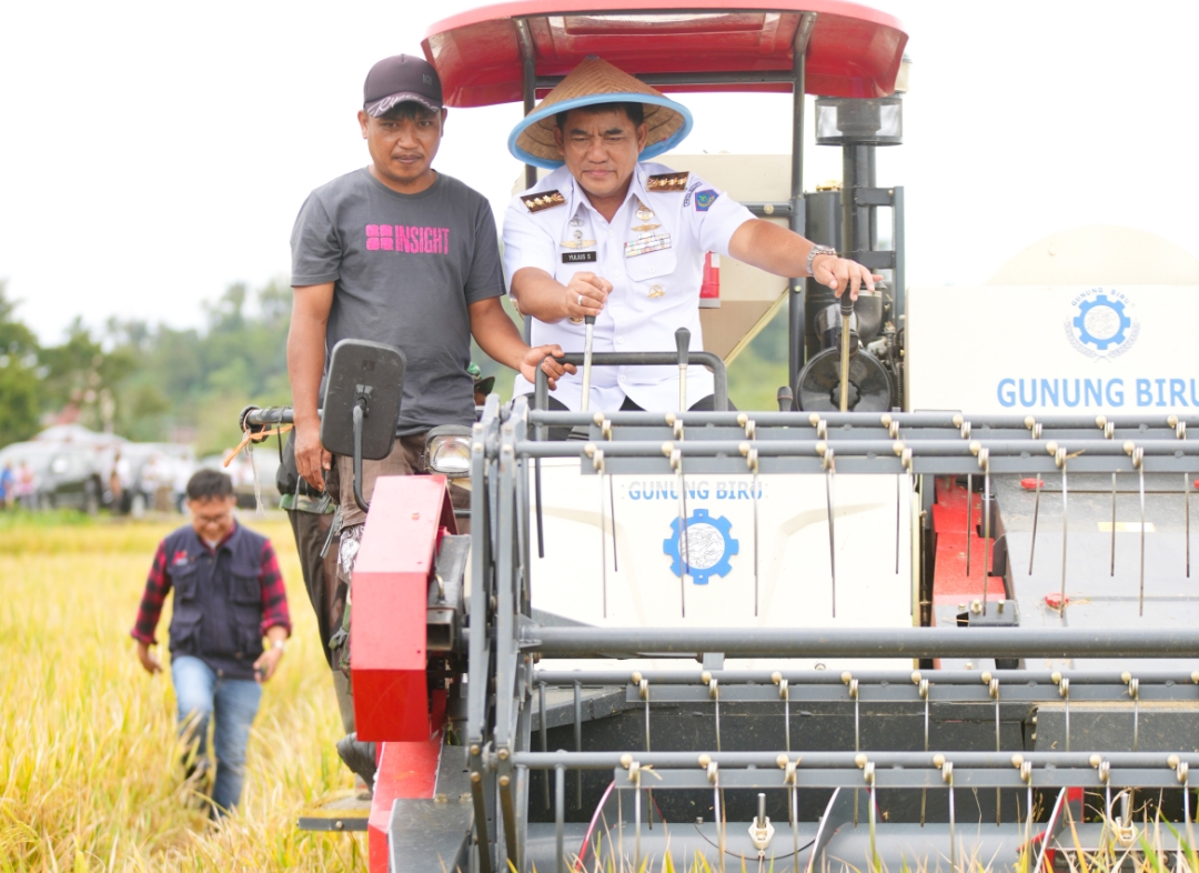 Gubernur Sulut Yulius Selvanus kemudikan traktor saat panen padi di Kakas Minahasa