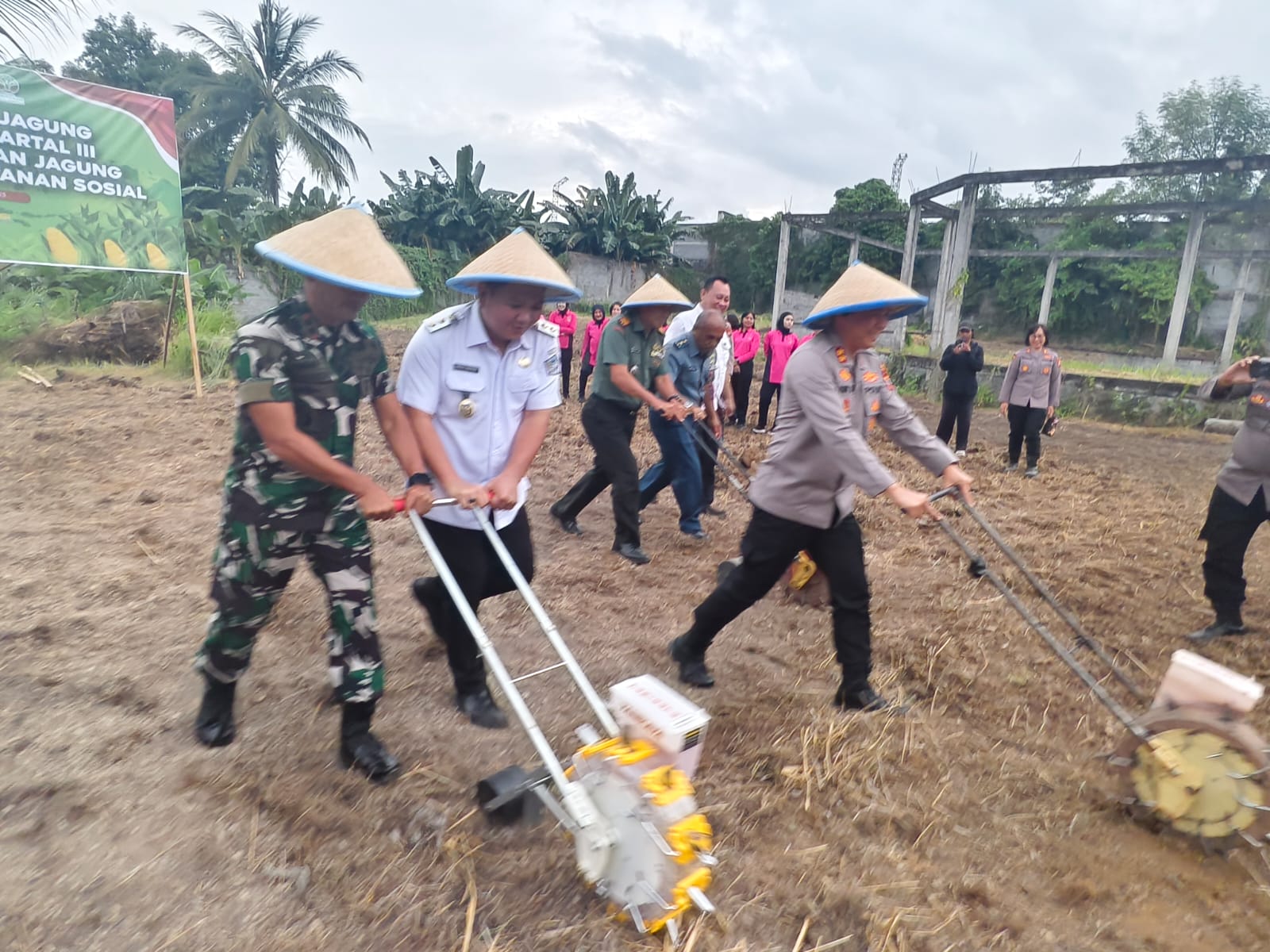 Kegiatan penanaman jagung serentak di Kota Bitung, yang dipimpin Titik Soeharto.(Dok Istimewa)