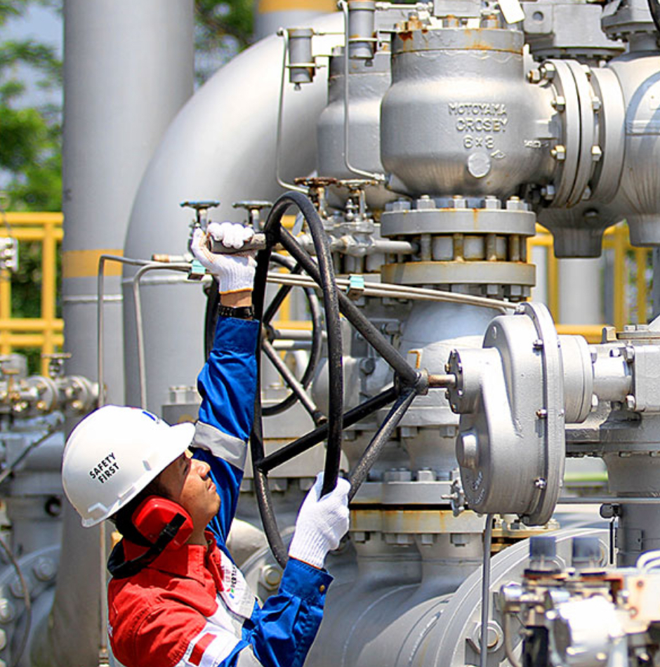 PT Pertamina Gas