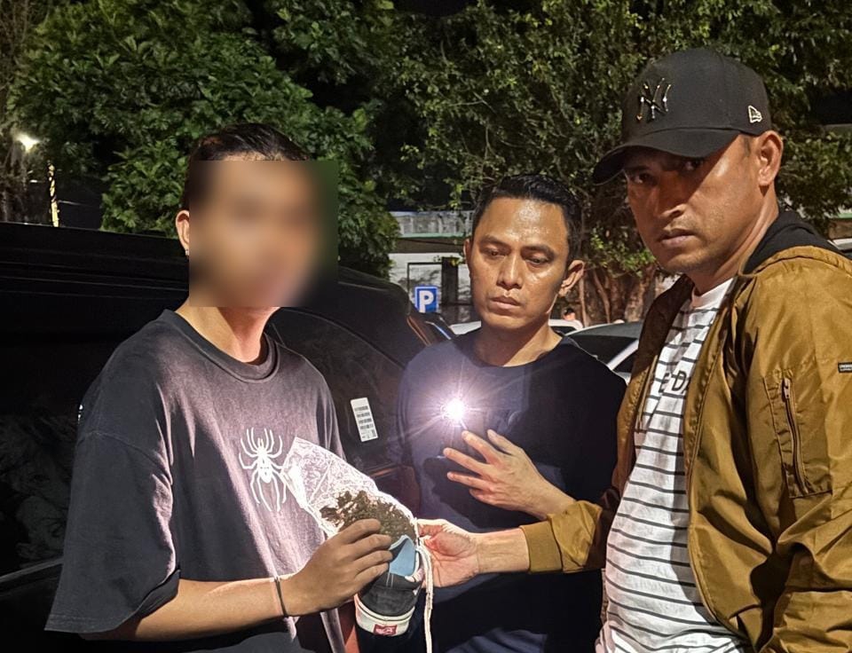 Satresnarkoba Polres Bitung menangkap seorang pemuda yang membawa ganja dari Papua.(Dok Istimewa)