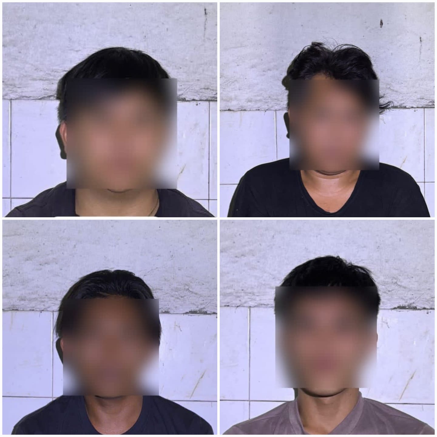 Komplotan pencuri sapi lintas kabupaten kota ditangkap Tim Tarsius Presisi Polres Bitung.(Dok Istimewa)