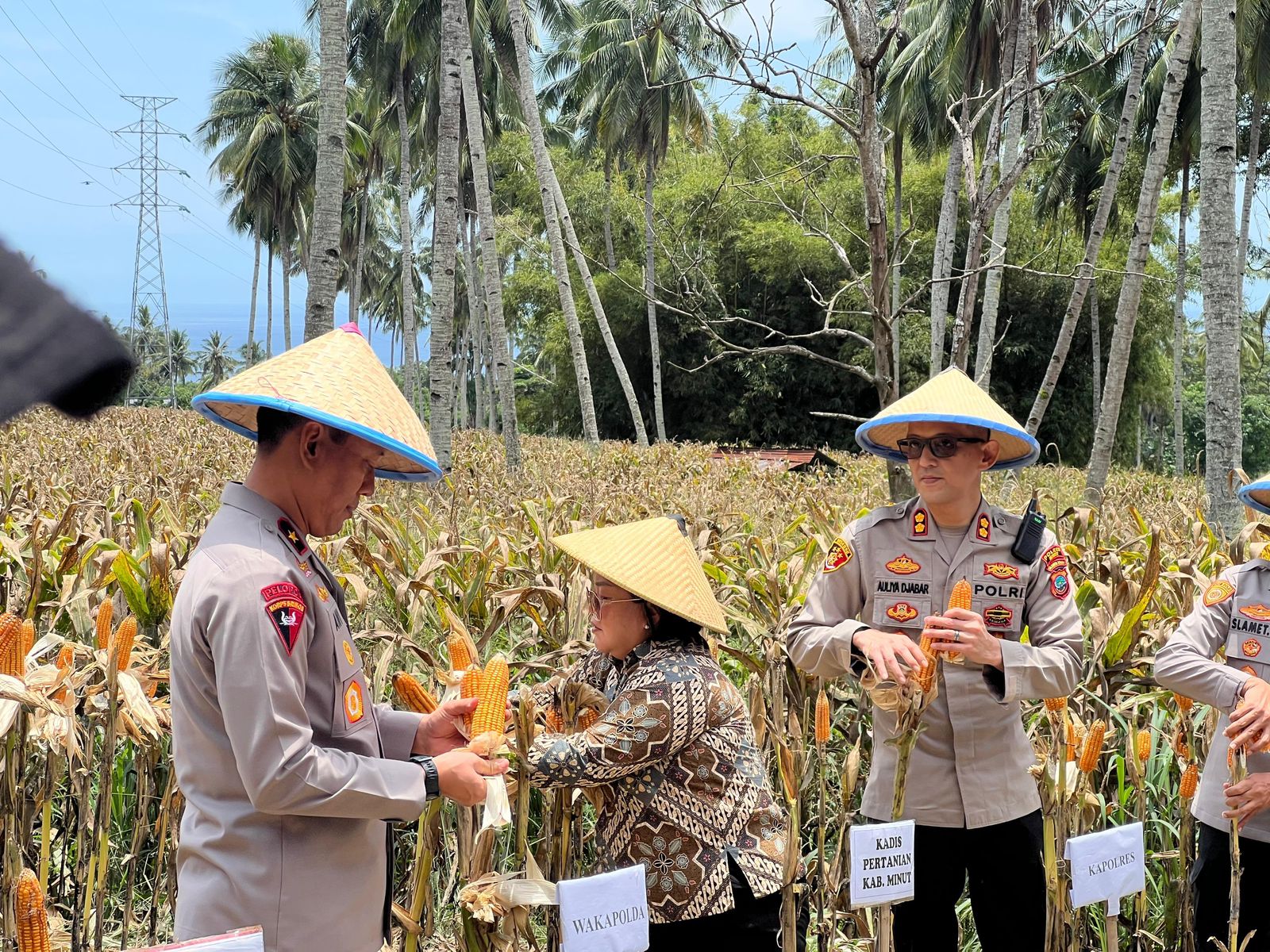 Wakapolda Sulawesi Utara Brigjen Pol Awi Setiyono (kiri) bersama Kapolres Minahasa Utara AKBP Auliya Djabar turun langsung ke lahan pertanian di Kauditan, Minahasa Utara, Sabtu (27/9/2025)
