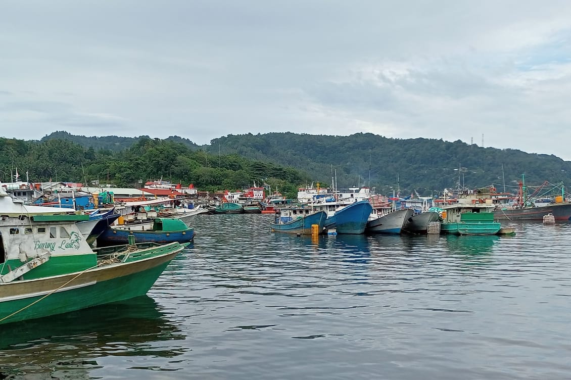 Deretan kapal perikanan yang berlabuh di dermaga Pelabuhan Perikanan Samudera Bitung.(Franky Sumaraw/MP)