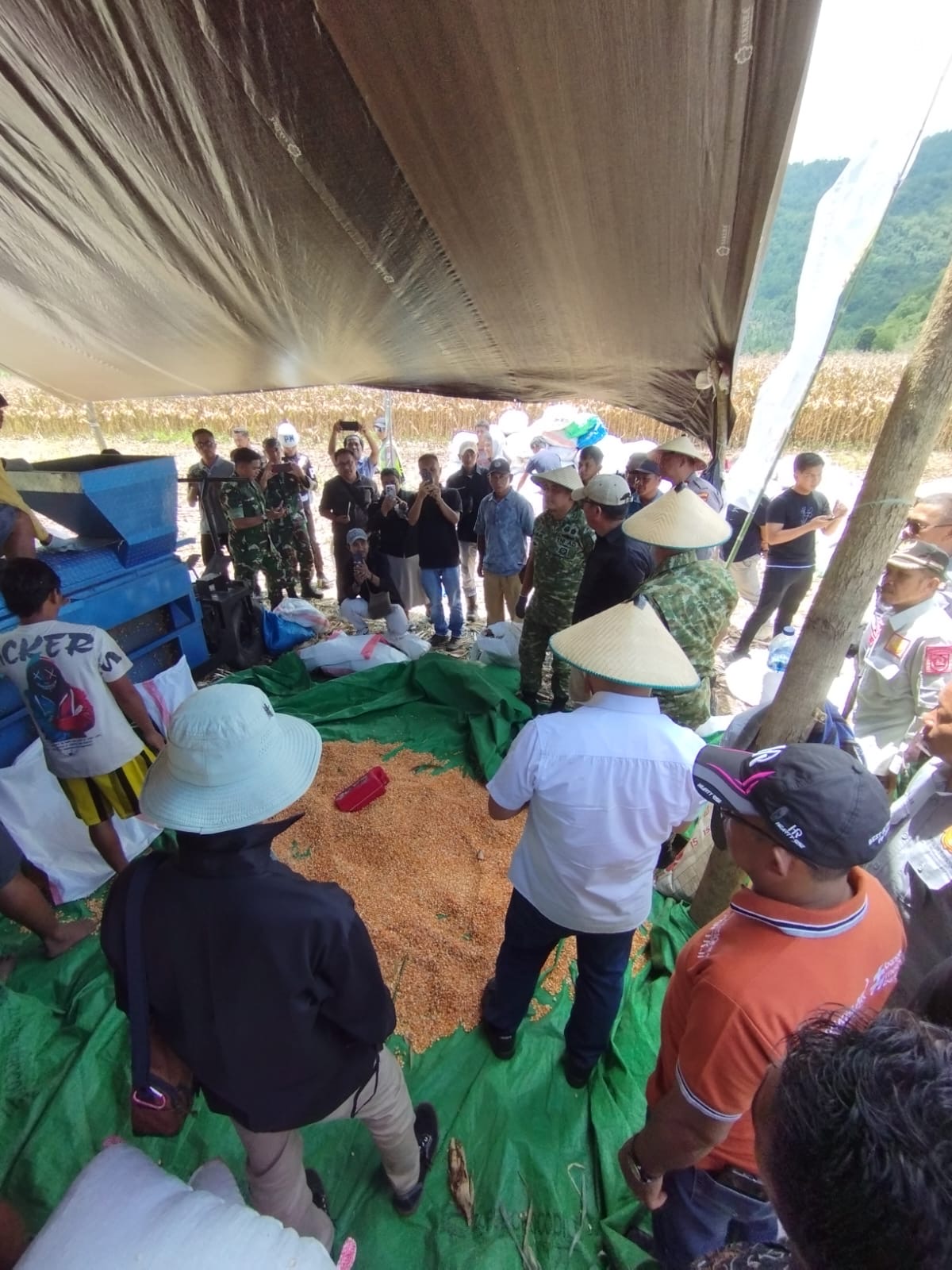 PT Harapan Agri Teknologi Indonesia mencatat tonggak penting dengan melaksanakan panen jagung dengan target sekira 650 ton di lahan seluas 75 hektare di Desa Bolangit