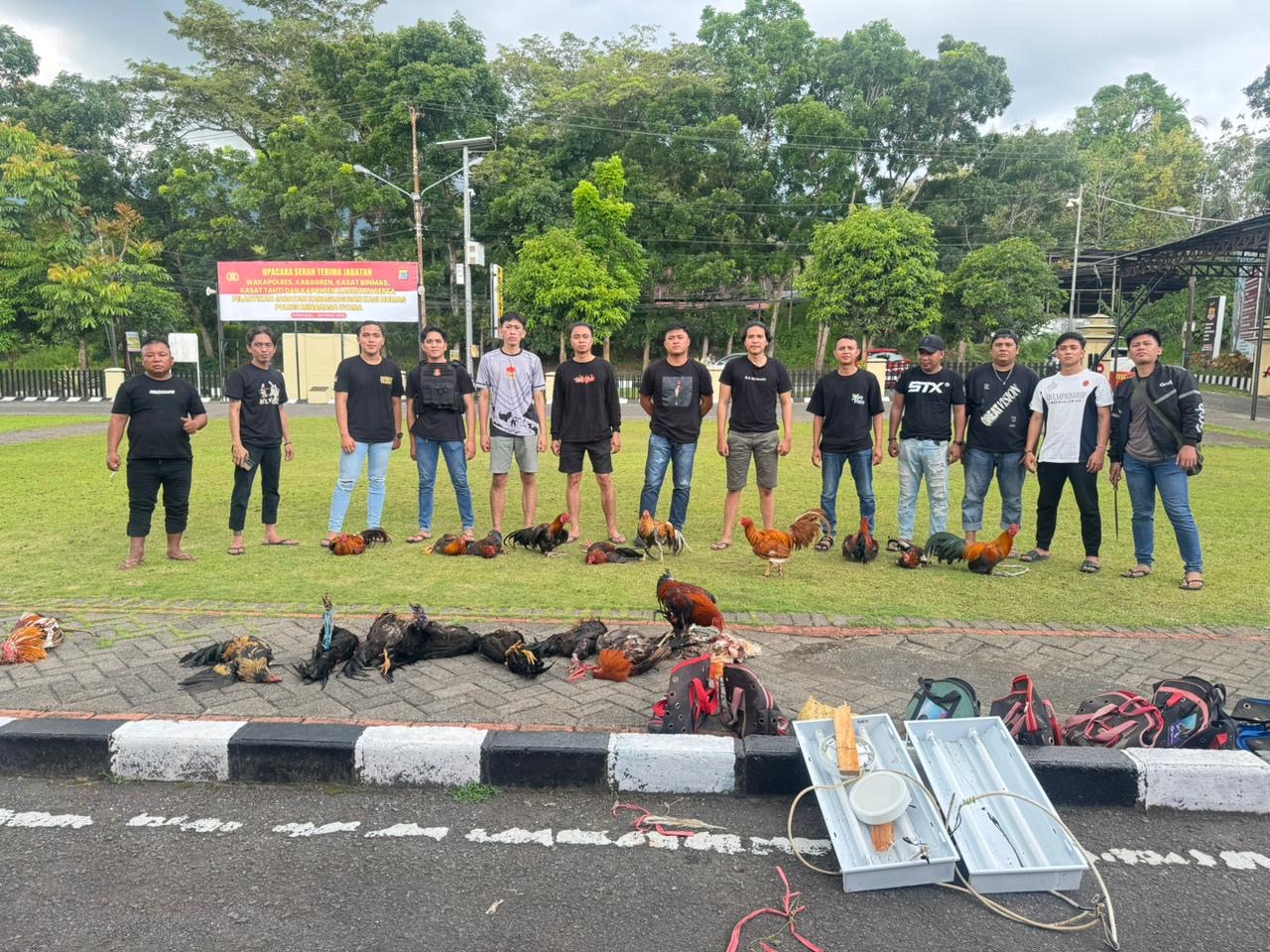 Polres Minahasa Utara Bongkar Judi Sabung Ayam di Desa Matungkas