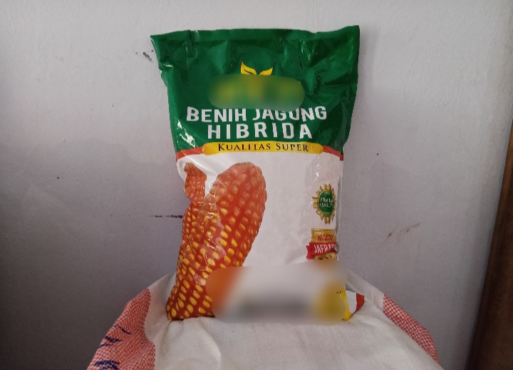 Benih jagung hibrida bantuan Kementerian Pertanian kepada petani di Kota Bitung.(Franky Sumaraw/MP)