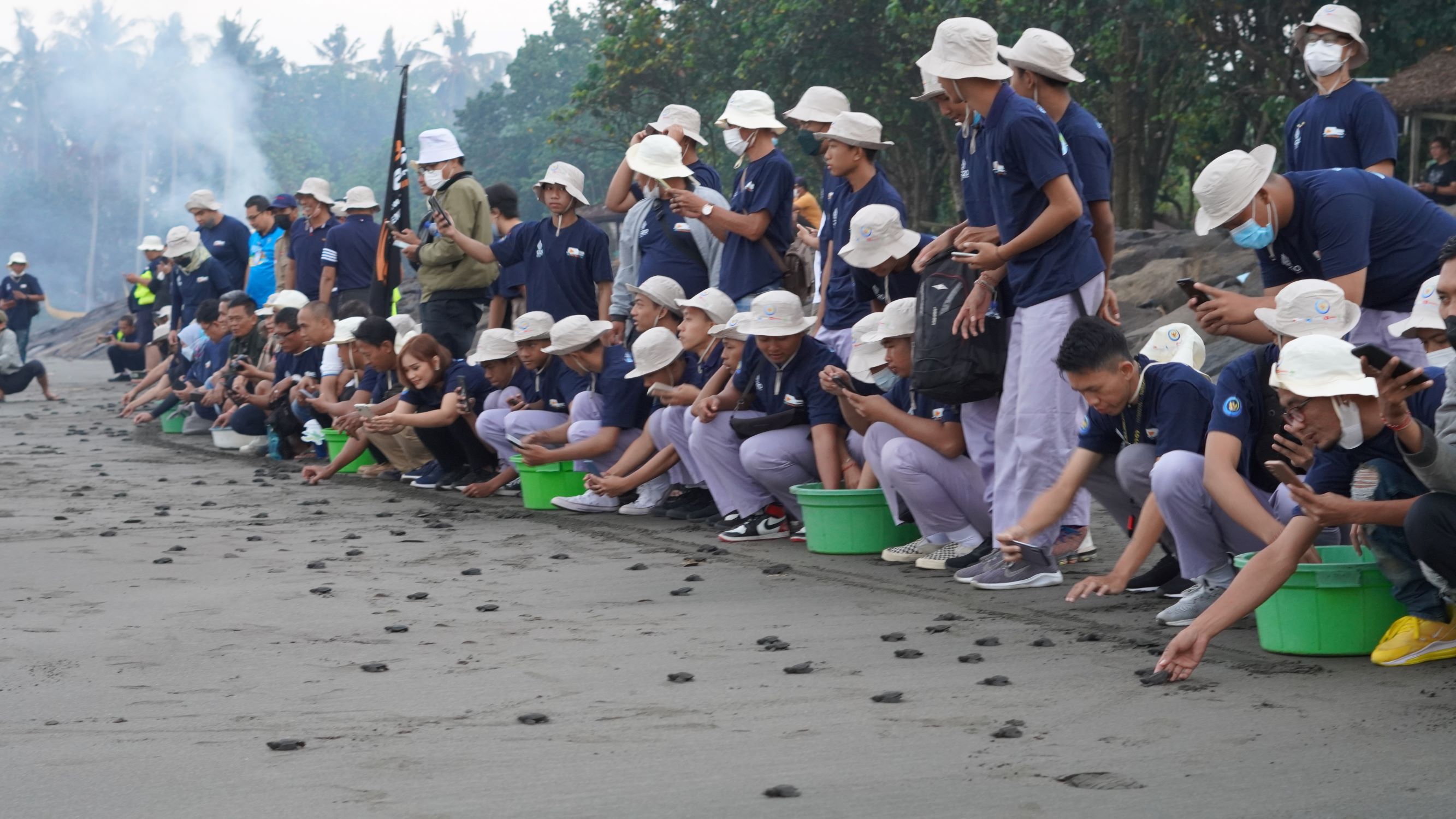 Kegiatan pelepasliaran tukik di pantai Perancak Bali antara Daihatsu bersama komunitas