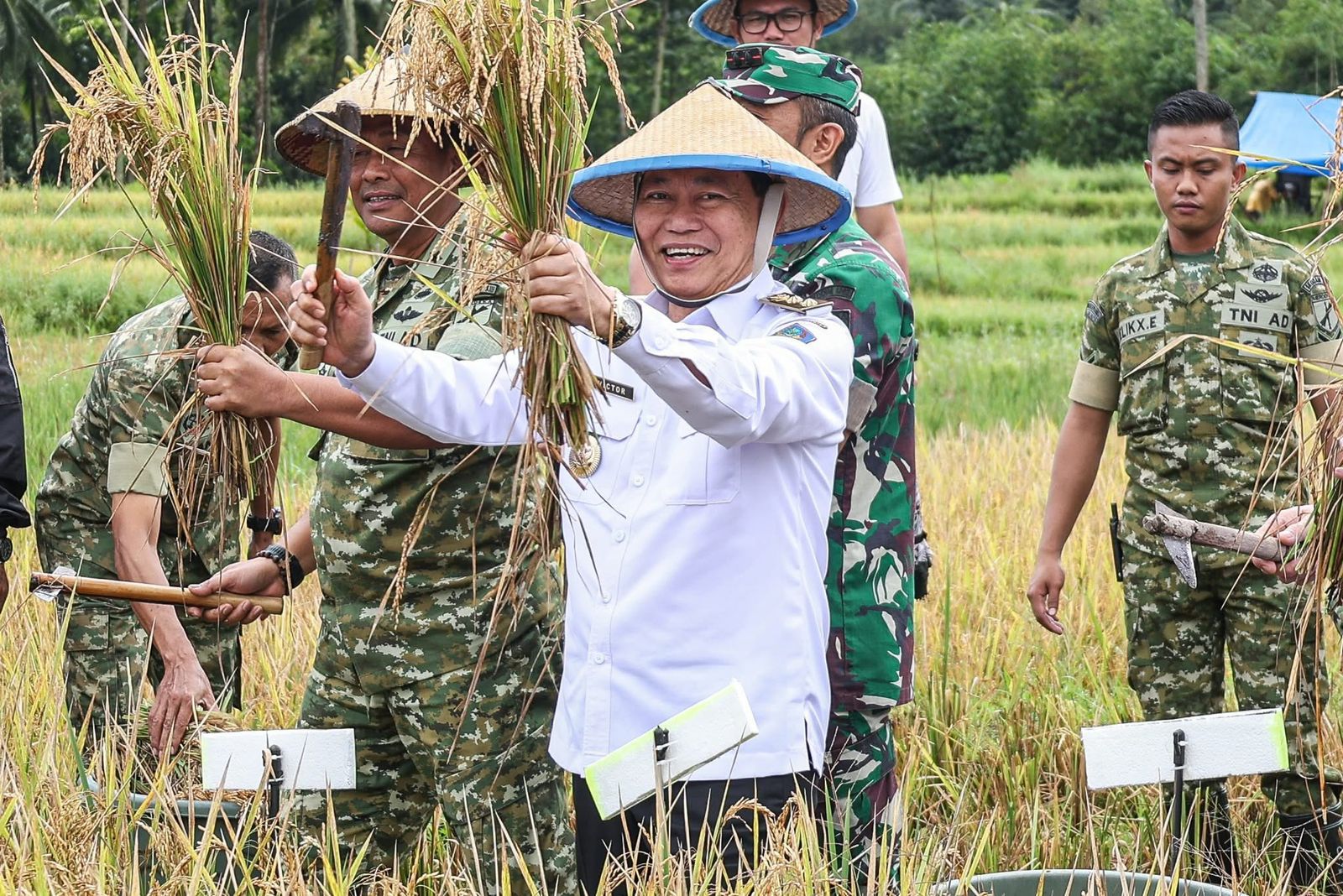 Panen padi bersama para petani di Kelurahan Taratara, Kota Tomohon, dihadiri Wagub Victor Mailangkay, pekan lalu.