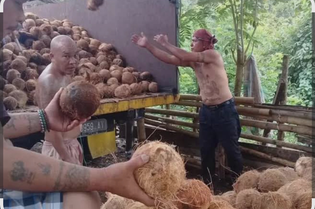Warga Sulawesi Utara yang mayoritas petani kelapa, mengeluh anjloknya harga kelapa. Sudah sebulan belum juga naik