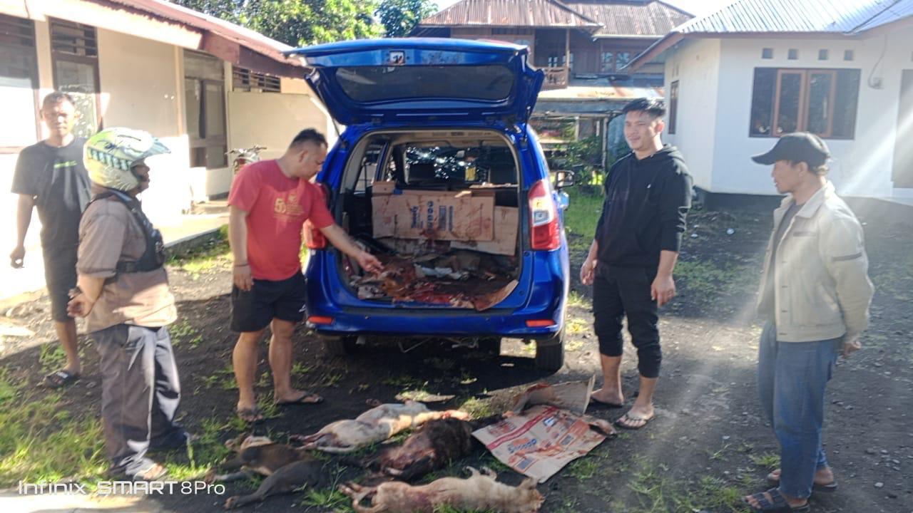 Pencurian Anjing di Desa Paso Gegerkan Warga, Polisi Amankan Mobil dan 9 Ekor Anjing