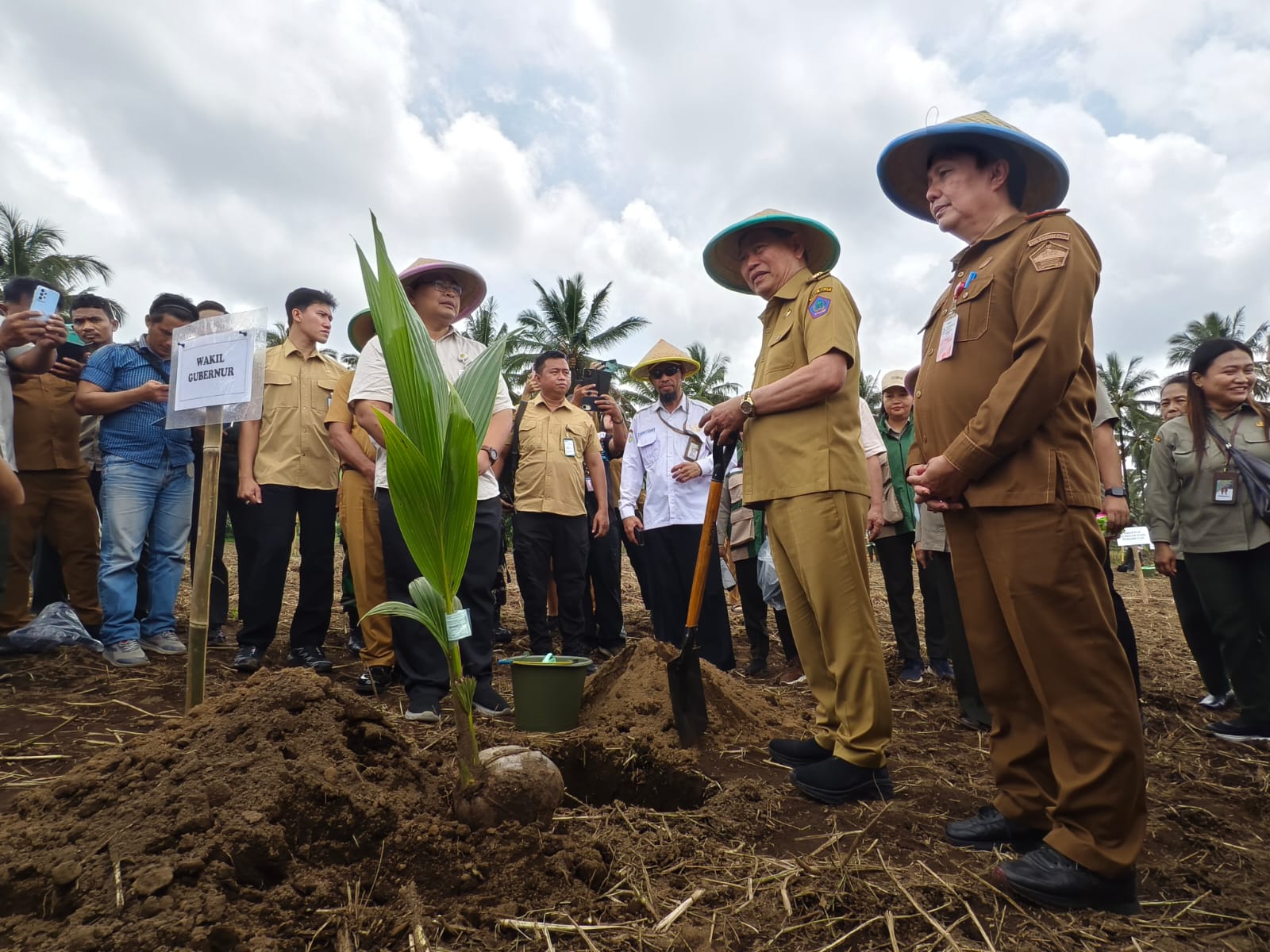 Wakil Gubernur Sulut Victor Mailangkay didampingi Sekda Minut Novly Wowiling dan Direktur Hilirisasi Perkebunan Kementerian Pertanian, Kuntoro Boga Andri saat akan menanam kelapa secara simbolis.  