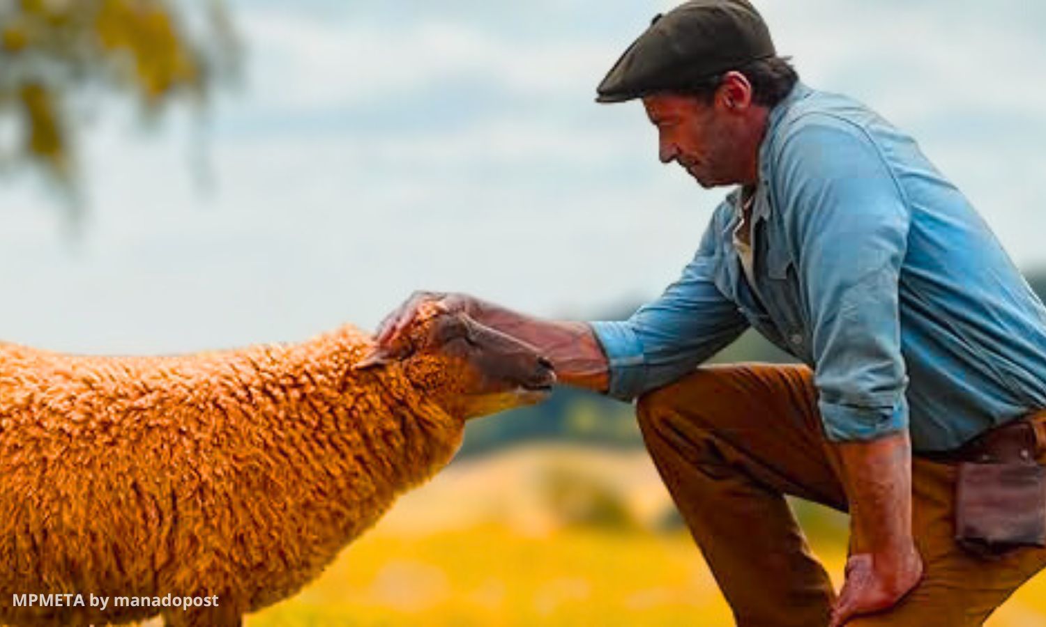 The Sheep Detectives